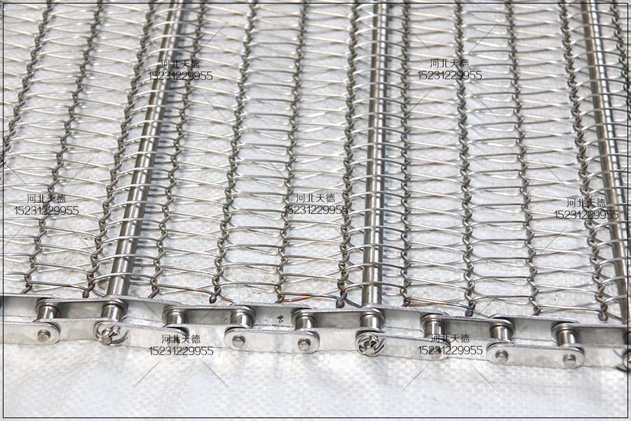 不銹鋼鏈條網帶